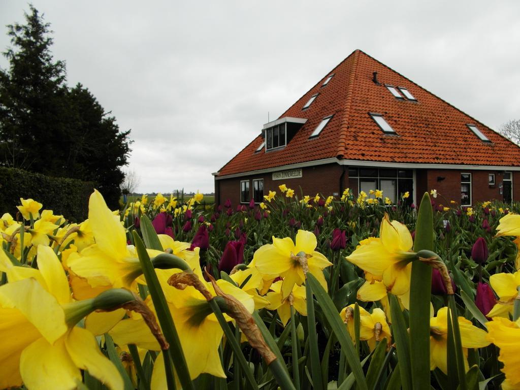 Pension Zonneweelde Oosthuizen Bagian luar foto